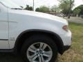 2005 Alpine White BMW X5 4.4i  photo #45