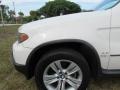 2005 Alpine White BMW X5 4.4i  photo #46