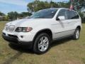 2005 Alpine White BMW X5 4.4i  photo #64