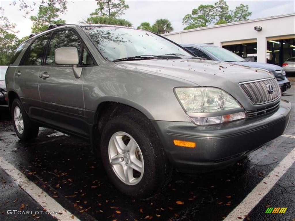 2001 RX 300 - Millennium Silver Metallic / Ivory photo #4