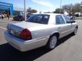 Silver Birch Metallic - Grand Marquis LS Photo No. 8
