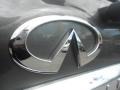 2004 Silver Graphite Metallic Infiniti QX 56  photo #10