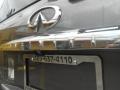 2004 Silver Graphite Metallic Infiniti QX 56  photo #11