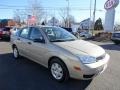 Pueblo Gold Metallic - Focus ZX4 SE Sedan Photo No. 4