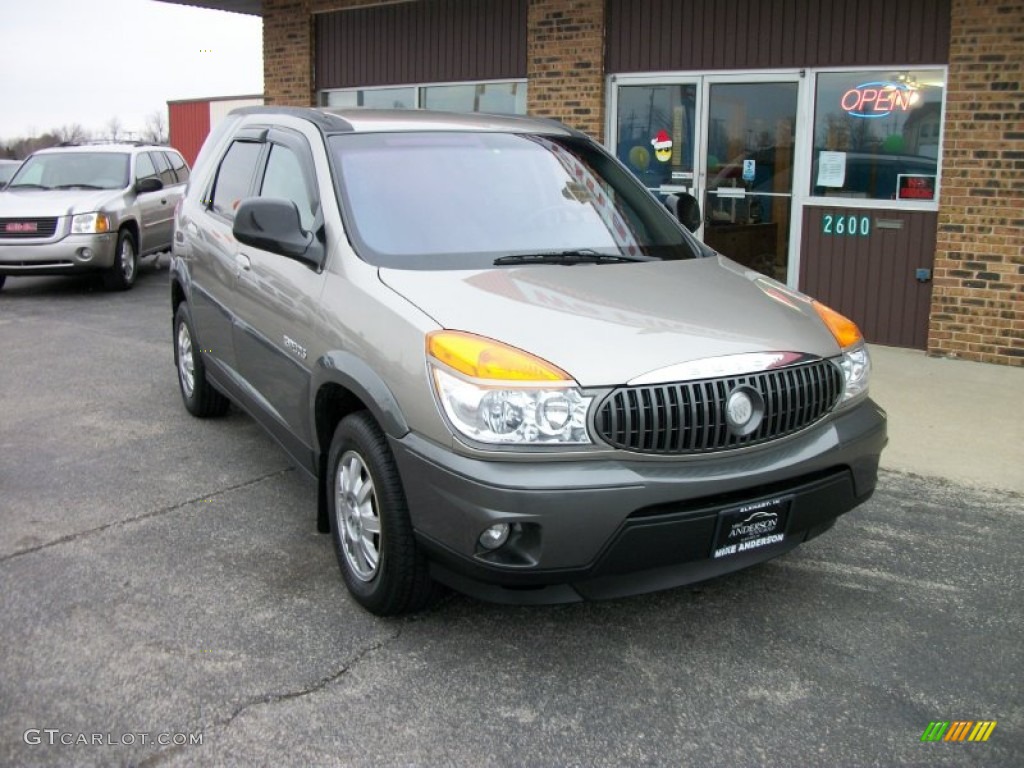 2002 Rendezvous CX - Pewter Metallic / Dark Gray photo #1