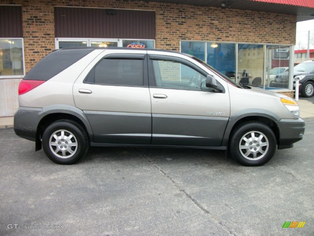Pewter Metallic 2002 Buick Rendezvous CX Exterior Photo #77366042