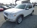 White Suede - Explorer Eddie Bauer 4x4 Photo No. 3