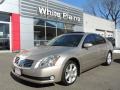 2006 Coral Sand Metallic Nissan Maxima 3.5 SE  photo #1