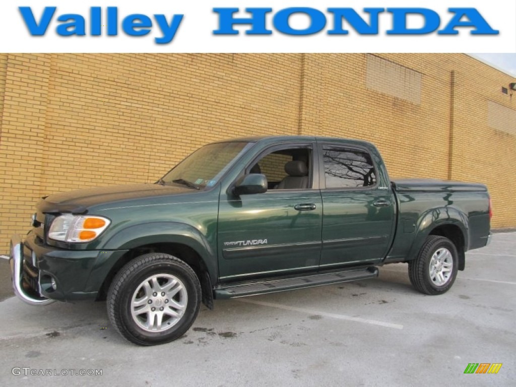 2004 Tundra Limited Double Cab 4x4 - Imperial Jade Mica / Oak photo #1