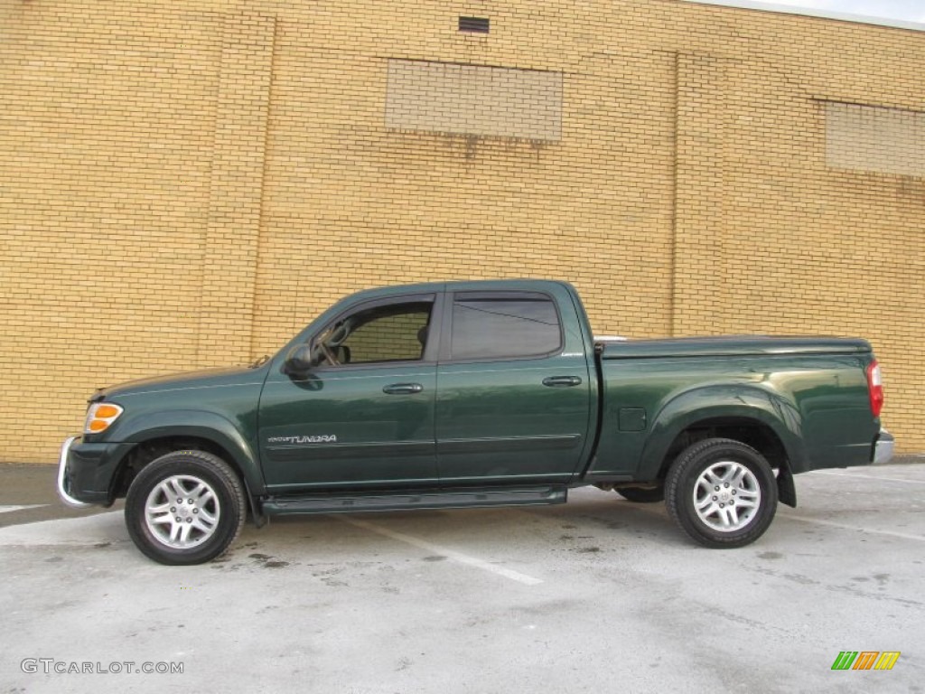 2004 Tundra Limited Double Cab 4x4 - Imperial Jade Mica / Oak photo #2