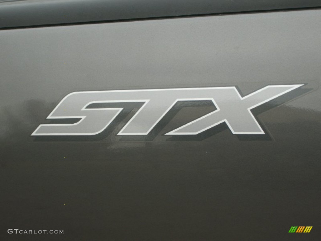2004 F150 STX SuperCab - Dark Shadow Grey Metallic / Medium/Dark Flint photo #28