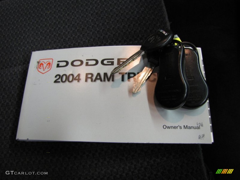 2004 Ram 1500 SLT Quad Cab 4x4 - Graphite Metallic / Dark Slate Gray photo #28