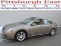 Pebble Beach Metallic - Maxima 3.5 SE Photo No. 1