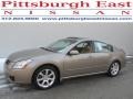 2008 Pebble Beach Metallic Nissan Maxima 3.5 SE  photo #1