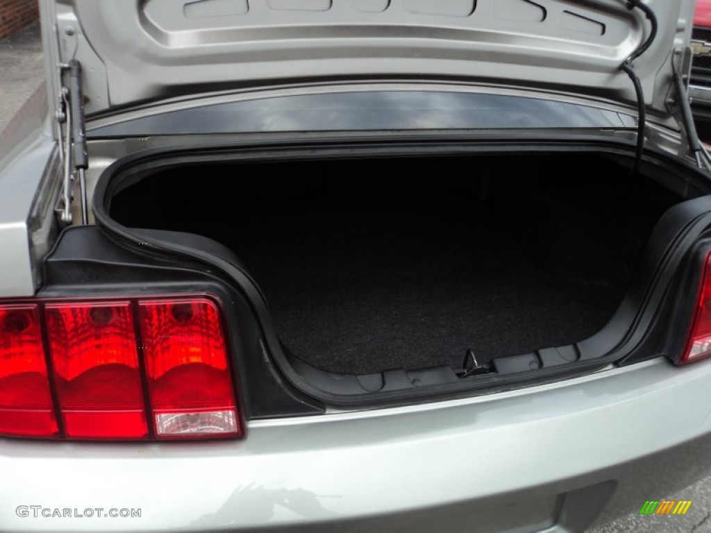 2009 Ford Mustang V6 Coupe Trunk Photos