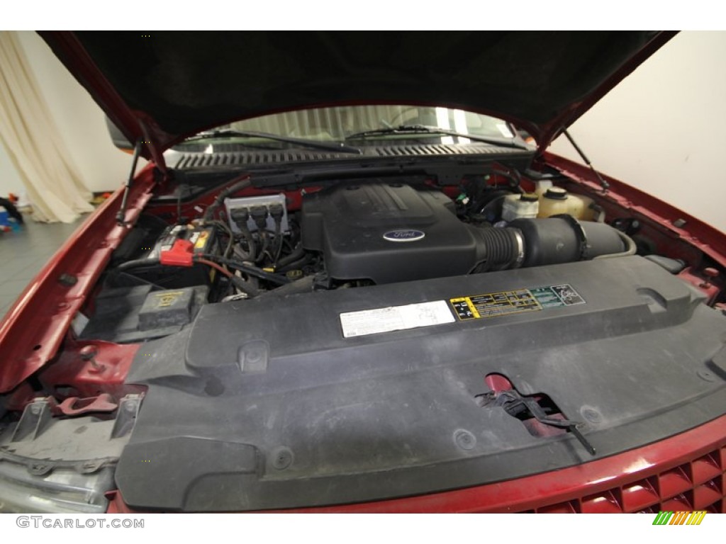 2004 Ford Expedition Eddie Bauer 4.6 Liter SOHC 16-Valve Triton V8 Engine Photo #77394846