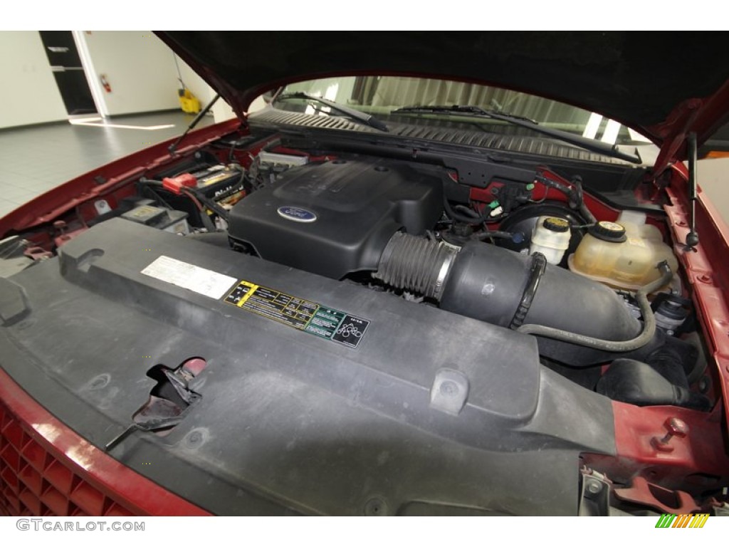 2004 Ford Expedition Eddie Bauer 4.6 Liter SOHC 16-Valve Triton V8 Engine Photo #77394857