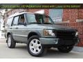 2004 Vienna Green Land Rover Discovery SE  photo #2