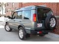 2004 Vienna Green Land Rover Discovery SE  photo #3
