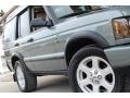 2004 Vienna Green Land Rover Discovery SE  photo #16