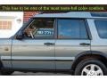 2004 Vienna Green Land Rover Discovery SE  photo #28
