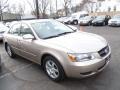 Golden Beige - Sonata GLS Photo No. 1