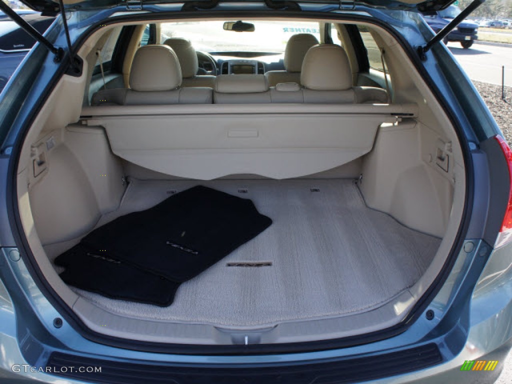 2010 Toyota Venza V6 AWD Trunk Photo #77403267