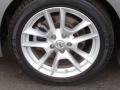 Precision Gray Metallic - Maxima 3.5 SV Photo No. 5