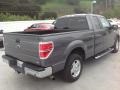 2010 Sterling Grey Metallic Ford F150 XLT SuperCab  photo #4