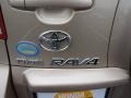2010 Sandy Beach Metallic Toyota RAV4 I4  photo #15