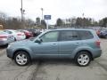 2009 Sage Green Metallic Subaru Forester 2.5 X L.L.Bean Edition  photo #4