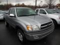 Silver Sky Metallic 2002 Toyota Tundra SR5 Access Cab 4x4 Exterior