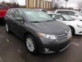 Magnetic Gray Metallic 2009 Toyota Venza AWD Exterior