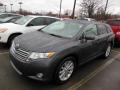 Magnetic Gray Metallic - Venza AWD Photo No. 3