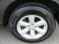 Magnetic Gray Metallic - Highlander 4WD Photo No. 14