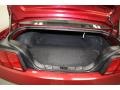 Dark Charcoal Trunk Photo for 2007 Ford Mustang #77421398