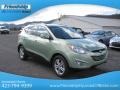 2013 Kiwi Green Hyundai Tucson GLS AWD  photo #5