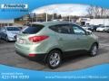 2013 Kiwi Green Hyundai Tucson GLS AWD  photo #7