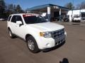 White Suede 2012 Ford Escape Limited V6 Exterior