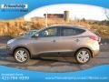 Chai Bronze - Tucson Limited AWD Photo No. 2