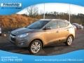 Chai Bronze - Tucson Limited AWD Photo No. 3