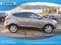 Chai Bronze - Tucson Limited AWD Photo No. 6