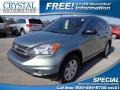Opal Sage Metallic - CR-V SE Photo No. 1