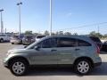 Opal Sage Metallic - CR-V SE Photo No. 2