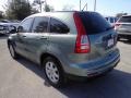 Opal Sage Metallic - CR-V SE Photo No. 3