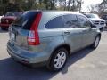 Opal Sage Metallic - CR-V SE Photo No. 9