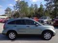 Opal Sage Metallic - CR-V SE Photo No. 10