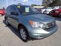 Opal Sage Metallic - CR-V SE Photo No. 11
