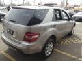 Pewter Metallic - ML 350 4Matic Photo No. 5