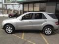 Pewter Metallic - ML 350 4Matic Photo No. 10